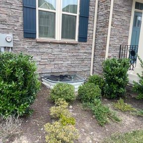 Bush Trimming by Uppercuts Lawn Care reviewed on June 22, 2022