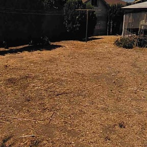 Cleanups by Kent Lawn Salon reviewed on June 23, 2022