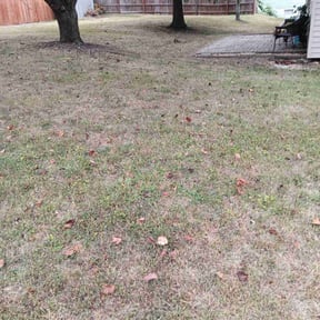 Landscaping by Superior Landscape & Maintenance, Inc. reviewed on July 28, 2022