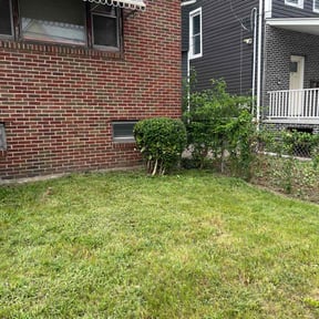 Bush Trimming by Pace Lawn and Garden reviewed on October 16, 2020