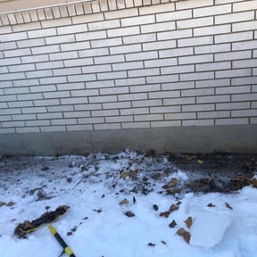 Leaf Removal by Helping Hands reviewed on November 6, 2021