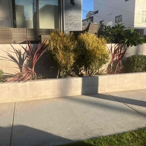Flower Bed Weeding by Green landscaping LLc reviewed on July 2, 2020