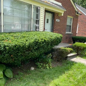 Bush Trimming by Haulin Hooligans L+R reviewed on July 23, 2025
