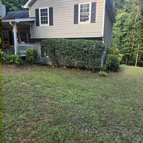 Bush Trimming by DMD LAWN SVC reviewed on July 29, 2022