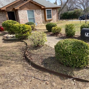 Bush Trimming by LSLTDallas/FortWorthTruGreen reviewed on April 4, 2025