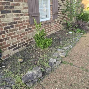 Flower Bed Weeding by LSLTDallas/FortWorthTruGreen reviewed on July 11, 2025