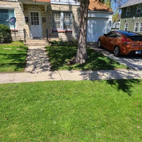 Leaf Removal by Lowcountry yard maintaince reviewed on July 9, 2022