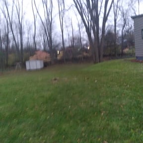 Leaf Removal by A.C lawn care reviewed on August 8, 2024