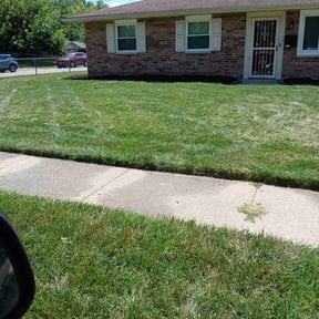 Flower Bed Weeding by Dominic's Lawncare LLC reviewed on July 11, 2025