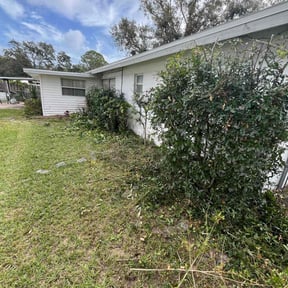Bush Trimming by RJ's Lawn Care reviewed on June 3, 2022