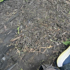 Flower Bed Weeding by Alfords Lawn & Landscaping reviewed on November 1, 2022