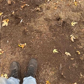 Leaf Removal by Landscape reviewed on April 19, 2022