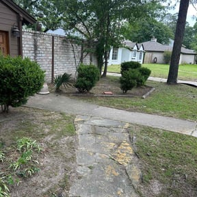 Bush Trimming by Roscoe&amp;Jaee's "You Name It We Do It Family lawn service" reviewed on May 11, 2025