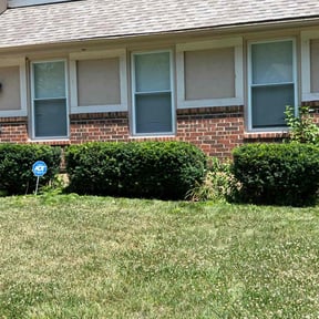 Bush Trimming by L&M landscaping reviewed on May 25, 2022