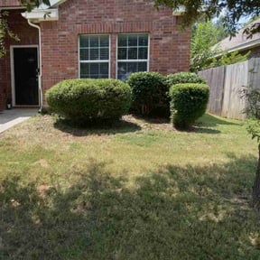Bush Trimming by Texas Prime Landscaping reviewed on September 5, 2024