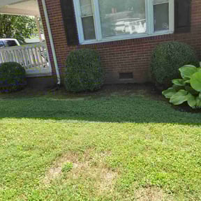 Flower Bed Weeding by Just Girlz CutN reviewed on December 5, 2024