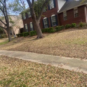 Bush Trimming by Lopez Lawn Experts reviewed on July 5, 2022