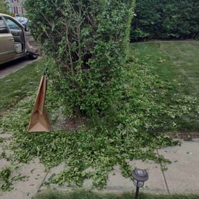 Bush Trimming by Go Turf Guy reviewed on May 26, 2022