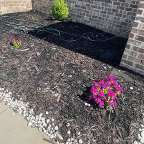 Mulching by Dans Lawn Care reviewed on January 2, 2025