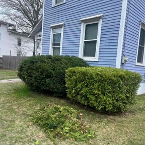 Bush Trimming by Blue Skies Lawn Care reviewed on May 11, 2022