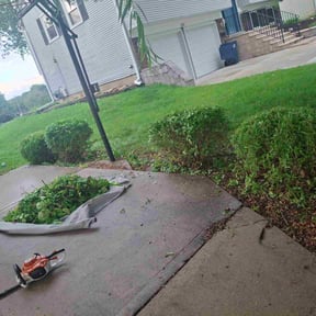 Bush Trimming by Betts Greenery reviewed on November 16, 2024