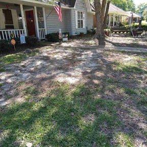 Lawn Seeding by Cuts By coulter reviewed on June 7, 2022