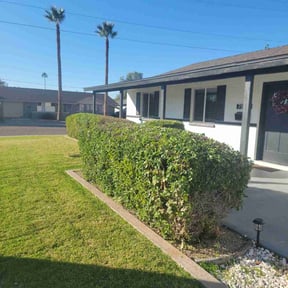Bush Trimming by MowPro Lawn Care LLC reviewed on July 21, 2022