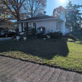 Leaf Removal by Residential property service reviewed on November 25, 2024