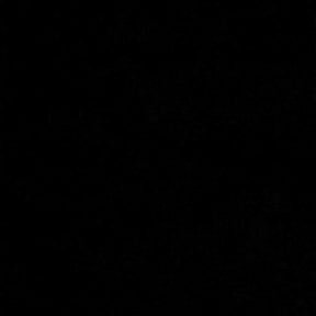 Bush Trimming by pnp concrete reviewed on May 15, 2022