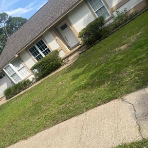 Bush Trimming by Gaston S Lawn Care reviewed on June 5, 2025