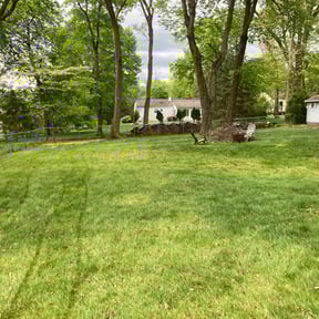 Leaf Removal by BigAl&sons Handyman ,lawn care and car maintenance reviewed on July 19, 2022
