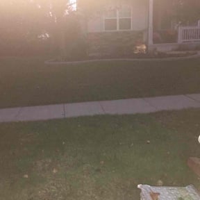 Leaf Removal by MJ&#039;S Lawn service reviewed on September 15, 2024