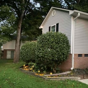 Bush Trimming by Sumner Property Management reviewed on June 30, 2025