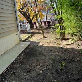 Leaf Removal by Family affair reviewed on July 9, 2022