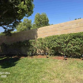 Bush Trimming by W. D. Giampa Lawn & Landscapes, INC. reviewed on May 17, 2022