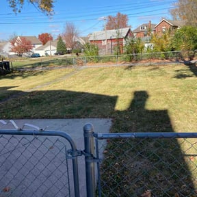 Leaf Removal by Tim's Mowing and More reviewed on July 6, 2022