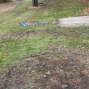 Leaf Removal by Mow N' Trims reviewed on July 27, 2022