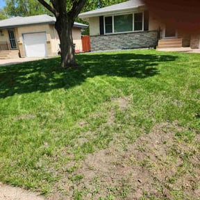 Leaf Removal by Olympus Outdoor Services reviewed on April 8, 2025