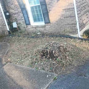 Cleanups by Browns Lawn Care & Landscape reviewed on July 18, 2025