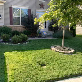 Flower Bed Weeding by Sheehan Lawn & Land Service reviewed on August 17, 2021