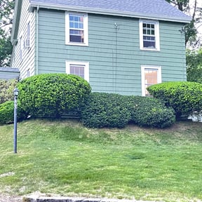 Bush Trimming by Matt's Lawn Mowing reviewed on May 19, 2022