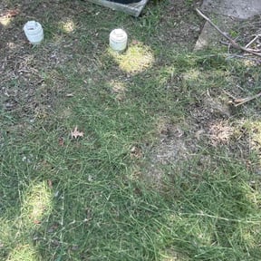 Cleanups by Aritalawncare reviewed on July 3, 2022