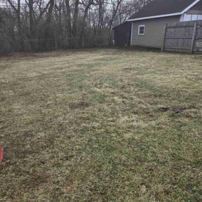 Leaf Removal by 3D GARDEN DESIGN and lawn care reviewed on April 8, 2025