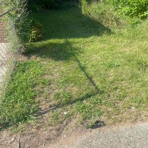 Weeding by D1B PRODUCTIONS LLC reviewed on July 12, 2025