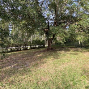 Leaf Removal by DR Lawn Care Services reviewed on July 12, 2025