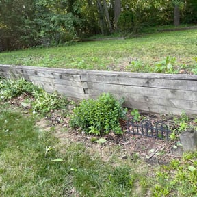 Bush Trimming by Green grass Landscaping reviewed on April 30, 2022