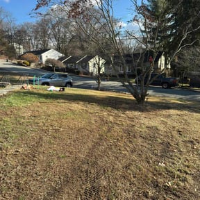 Leaf Removal by Adara Lawn &amp; Pool reviewed on August 3, 2022