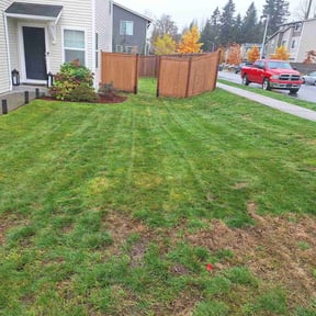 Leaf Removal by Alux rental’s LLC reviewed on July 13, 2022