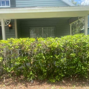 Bush Trimming by Tha Yard Dr reviewed on July 2, 2022