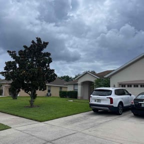 Weeding by BSM & Co. Landscaping reviewed on April 6, 2022